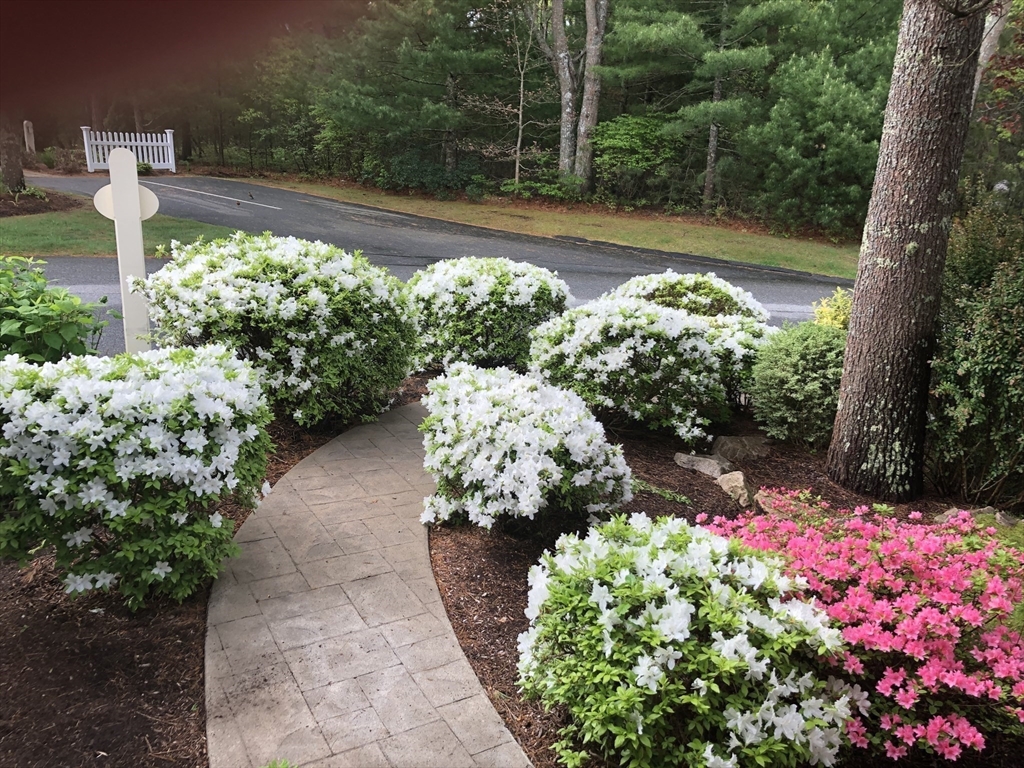 77 Gold Leaf Lane, Unit 77 Mashpee, MA 02649 - Photo 3 of 38