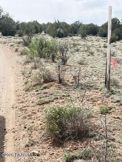 595 Ravens Rest Seligman, AZ 86337 - Photo 20 of 22 a view of a dry field