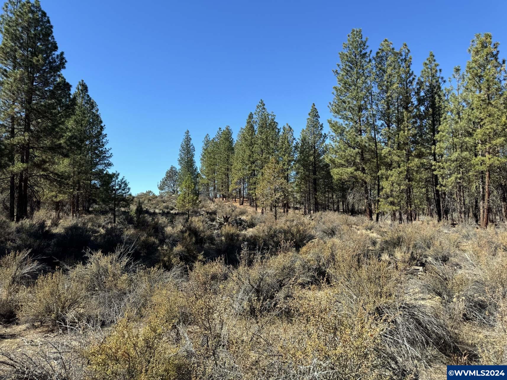 600 Oregon Pines Road Chiloquin, OR 97624 - Photo 43 of 49