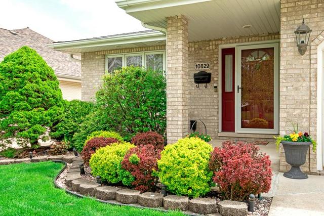 10829 Massasoit Avenue Chicago Ridge, IL 60415 - Photo 3 of 54