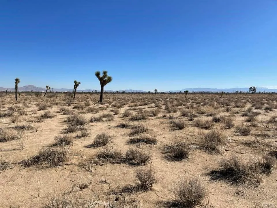 0 Vinton Road Adelanto, CA 92301 - Photo 25 of 31 a view of a beach