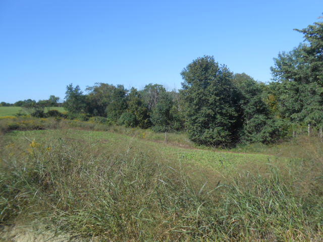 S4102 Elk Run Road Webster, WI 54664 - Photo 6 of 14 DSCN4391