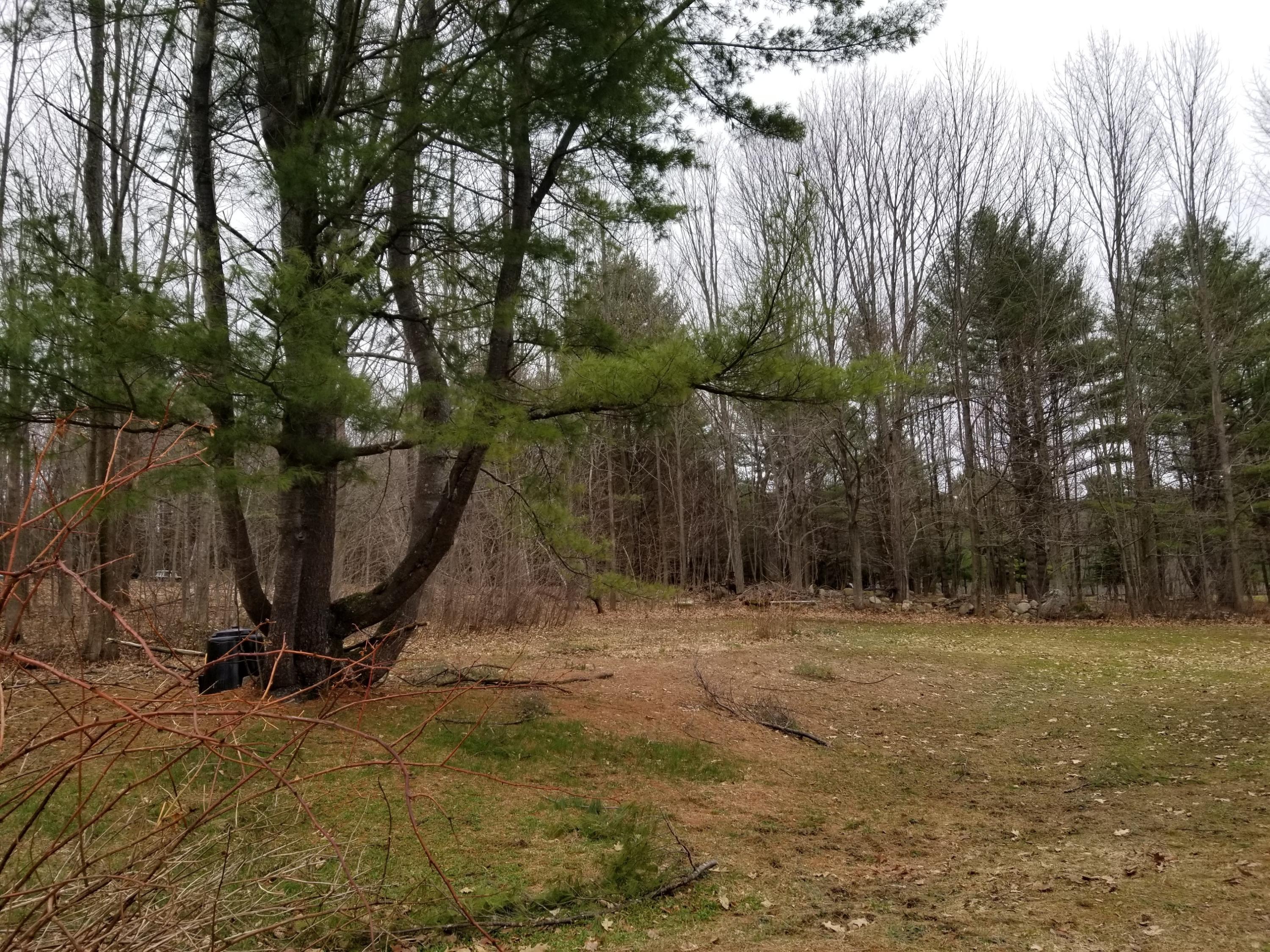 20 Backkingdom Road Mexico, ME 04257 - Photo 14 of 20 back yard