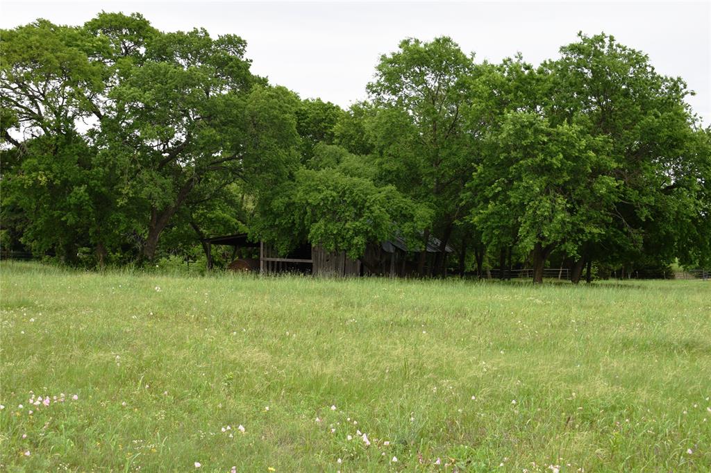 Lot 2 County Road 632 Blue Ridge, TX 75424 - Photo 4 of 12