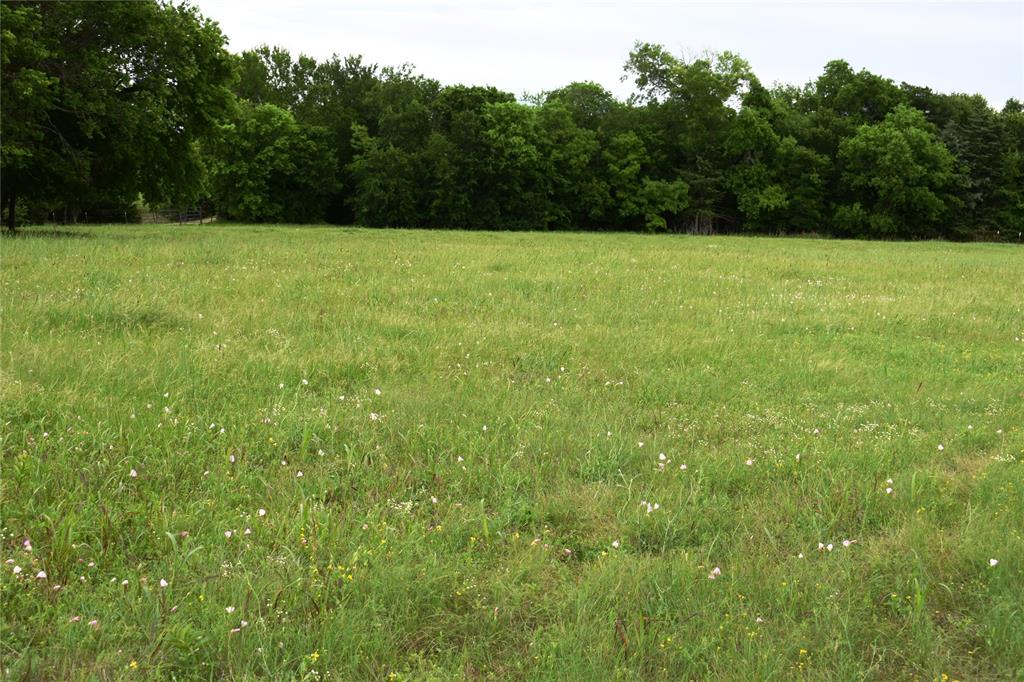 Lot 2 County Road 632 Blue Ridge, TX 75424 - Photo 5 of 12