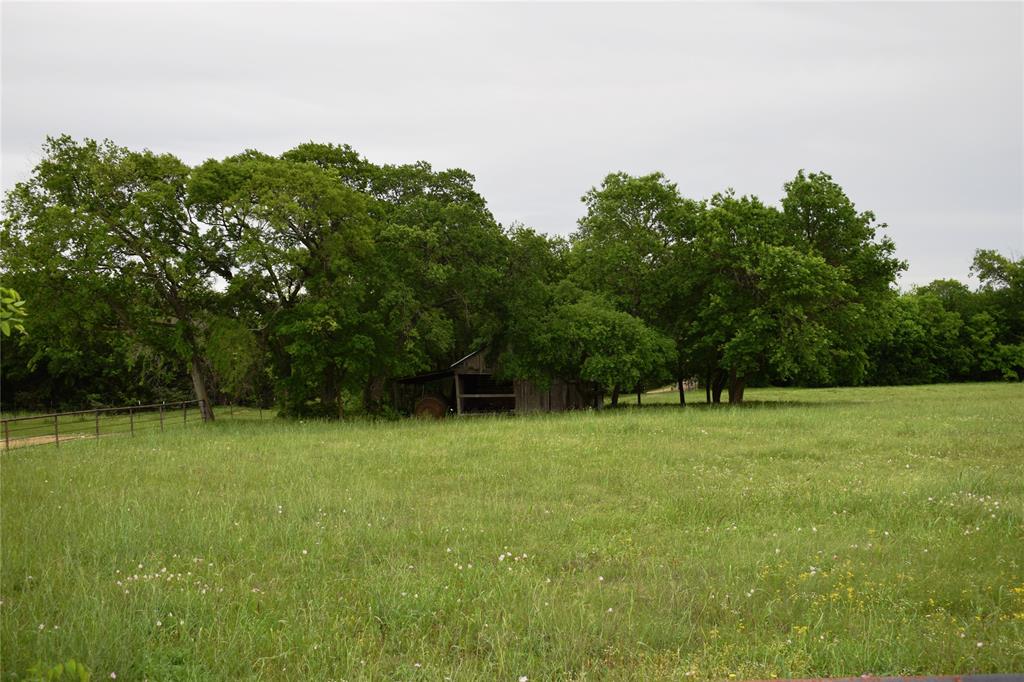 Lot 2 County Road 632 Blue Ridge, TX 75424 - Photo 6 of 12
