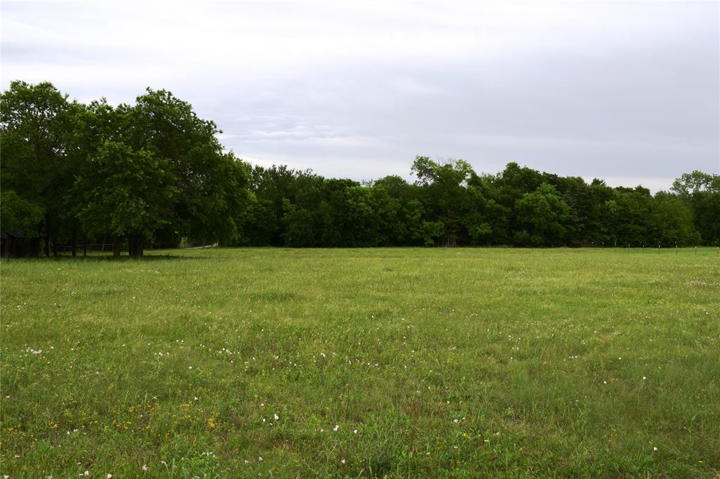 Lot 2 County Road 632 Blue Ridge, TX 75424 - Photo 7 of 12