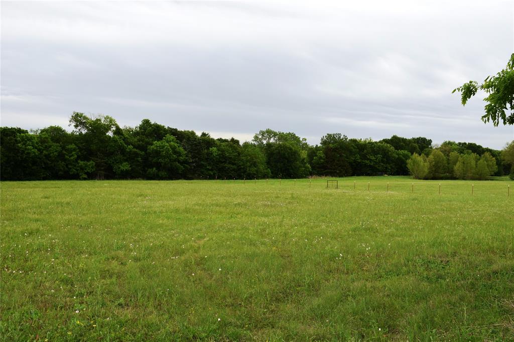 Lot 2 County Road 632 Blue Ridge, TX 75424 - Photo 8 of 12