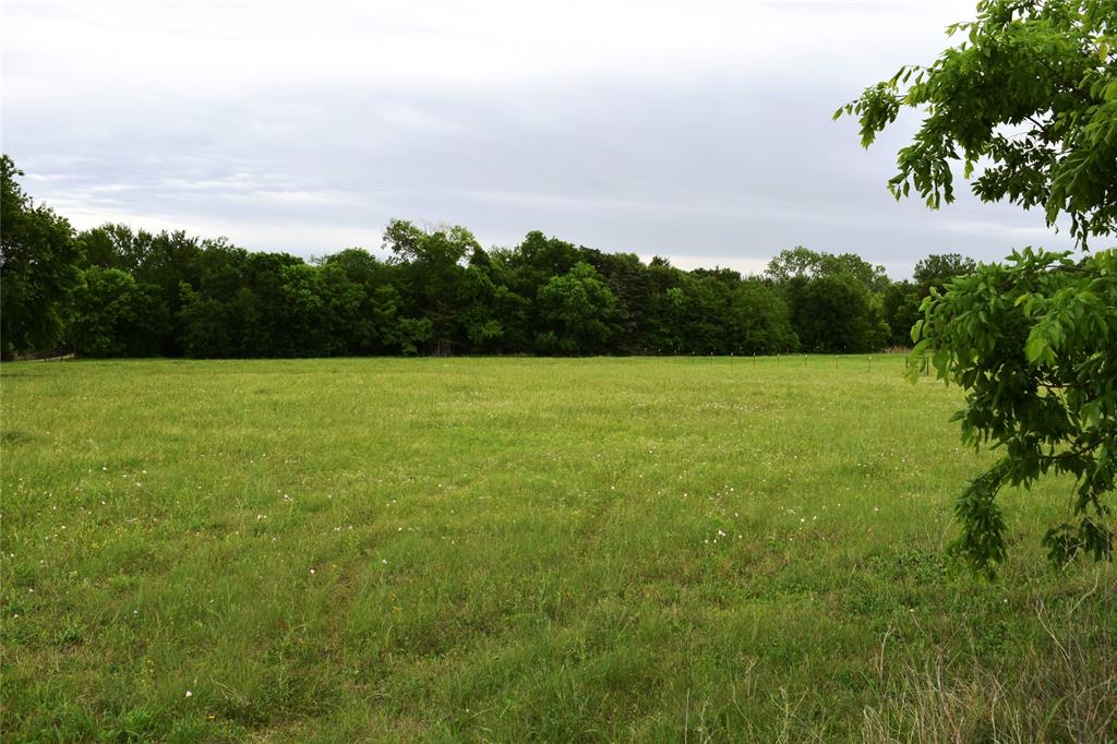 Lot 2 County Road 632 Blue Ridge, TX 75424 - Photo 9 of 12