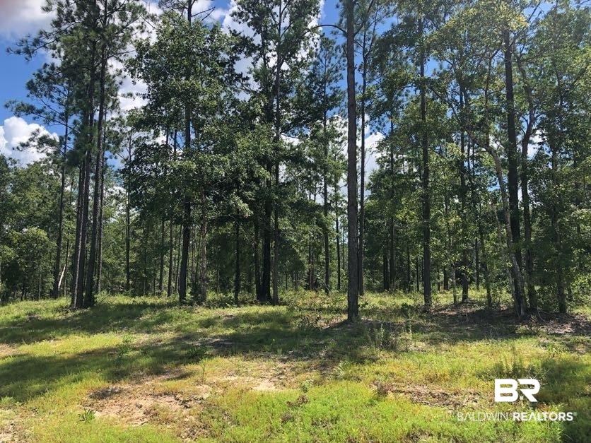12359 Red Hill Rd Extension Bay Minette, AL 36507 - Photo 13 of 16