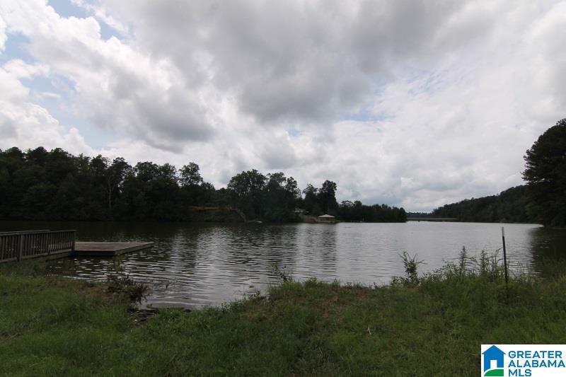 4312 County Road, Unit 17 Wedowee, AL 36278 - Photo 16 of 41