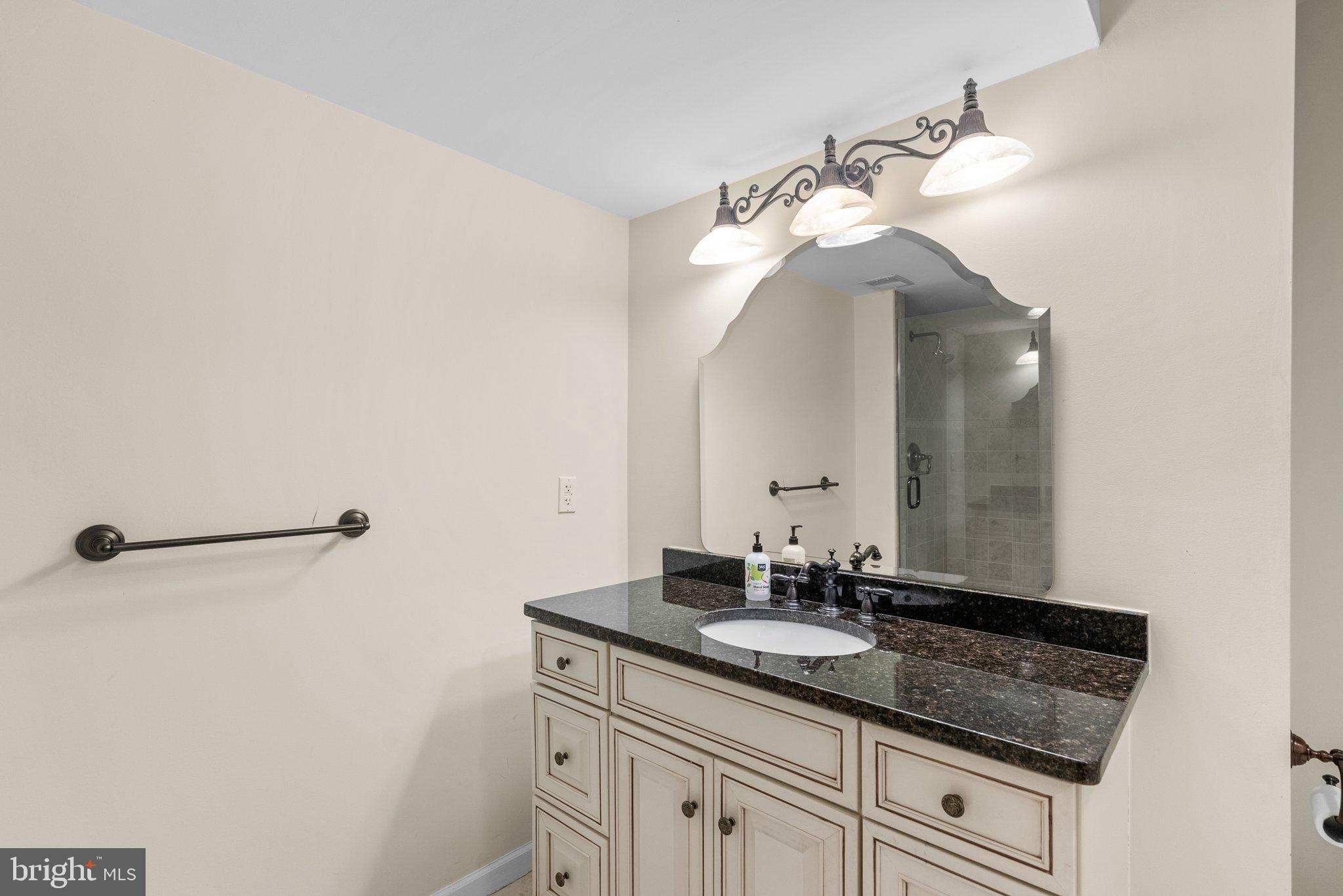 869 Still Creek Lane Gaithersburg, MD 20878 - Photo 46 of 58 a bathroom with a sink and a mirror