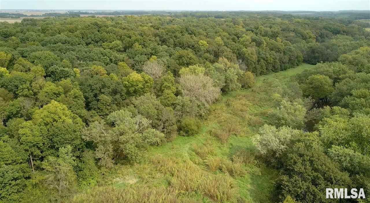 0 North Whittaker Road Laura, IL 61451 - Photo 16 of 26 Gallery Image 16