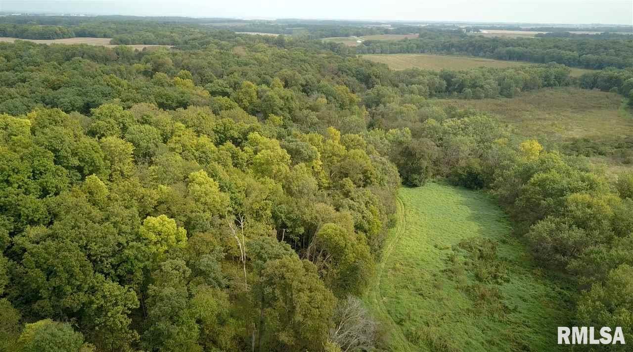 0 North Whittaker Road Laura, IL 61451 - Photo 18 of 26 Gallery Image 18