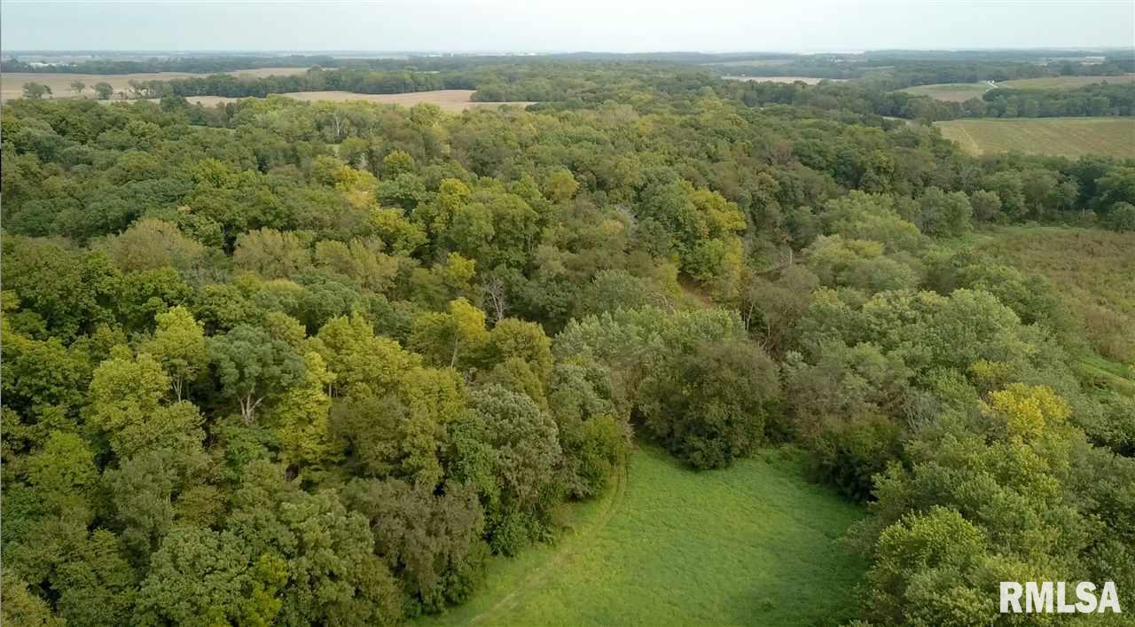 0 North Whittaker Road Laura, IL 61451 - Photo 19 of 26 Gallery Image 19