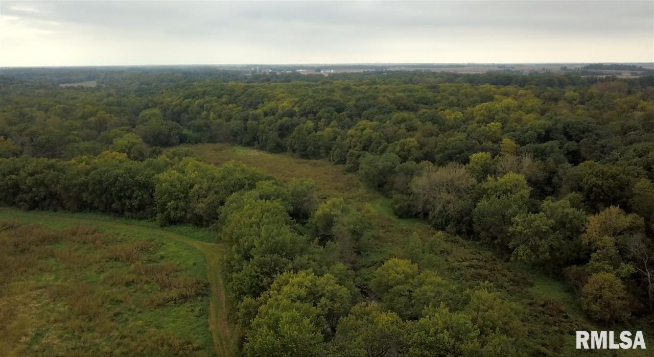 0 North Whittaker Road Laura, IL 61451 - Photo 2 of 26 Gallery Image 2