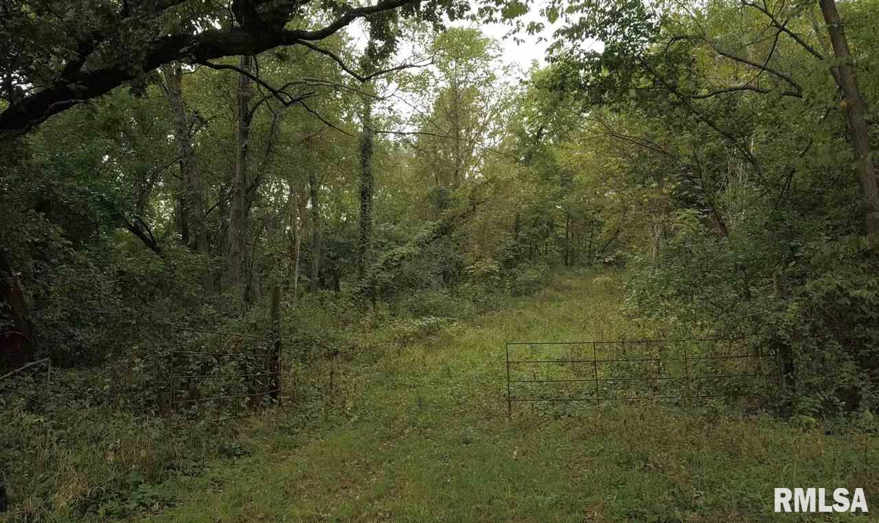 0 North Whittaker Road Laura, IL 61451 - Photo 24 of 26 Gallery Image 24