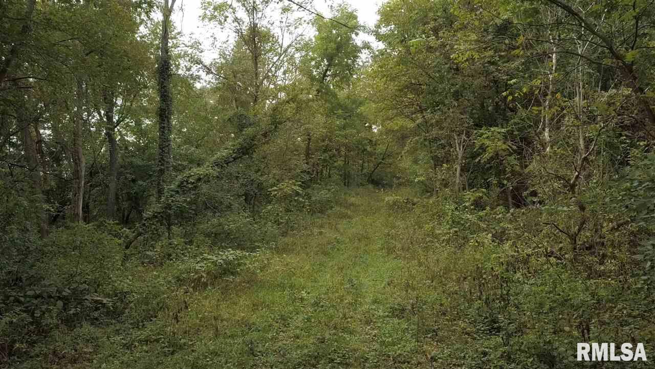 0 North Whittaker Road Laura, IL 61451 - Photo 25 of 26 Gallery Image 25