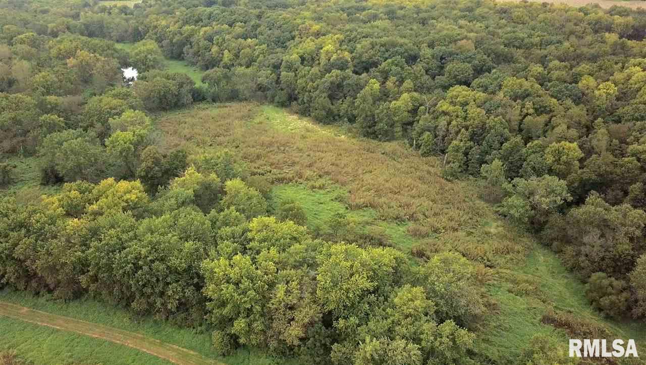 0 North Whittaker Road Laura, IL 61451 - Photo 3 of 26 Gallery Image 3