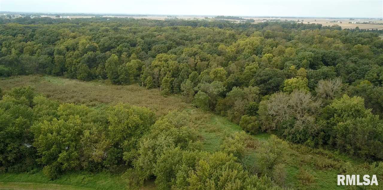 0 North Whittaker Road Laura, IL 61451 - Photo 10 of 26 Gallery Image 10