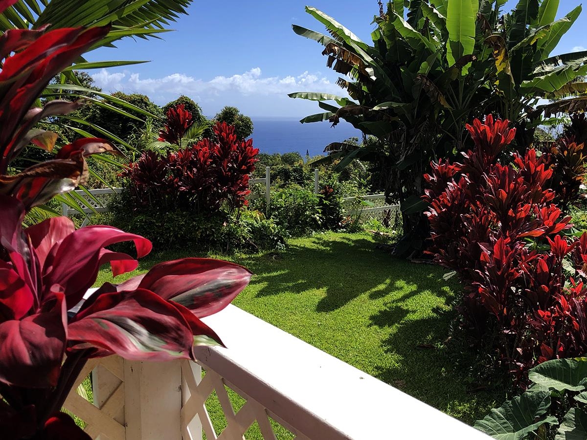 979 Hana Highway Haiku, HI 96708 - Photo 21 of 25 a view of an outdoor space