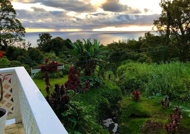 a view of a garden with lawn chairs
