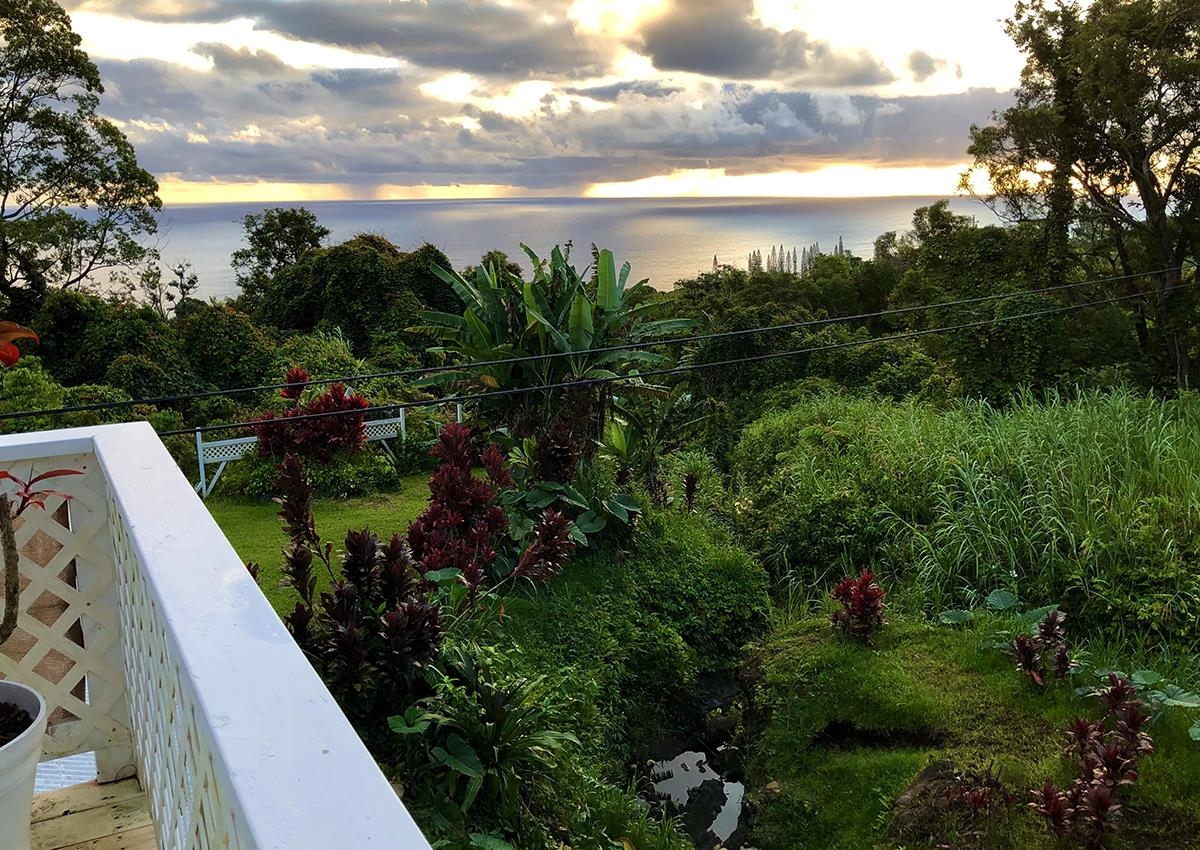979 Hana Highway Haiku, HI 96708 - Photo 25 of 25 a view of a garden with lawn chairs