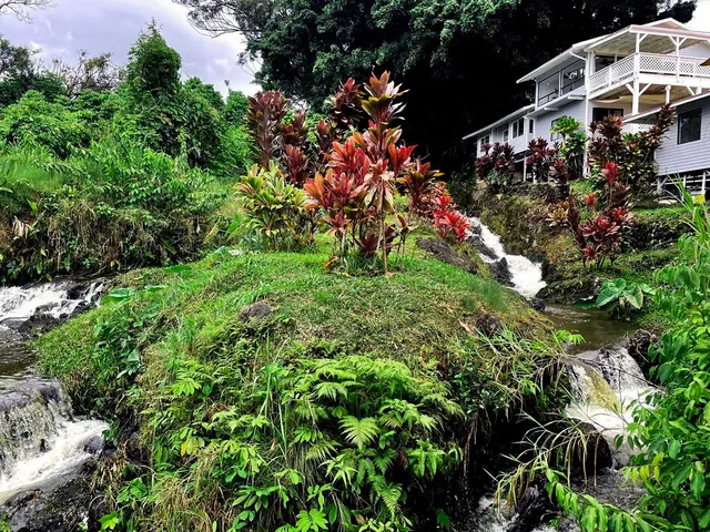 an outdoor space with lots of trees