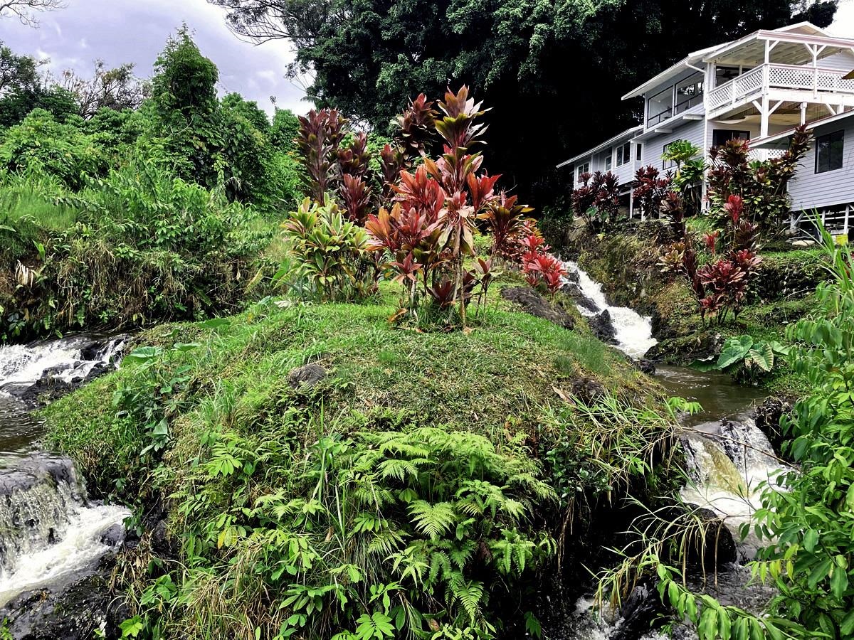 979 Hana Highway Haiku, HI 96708 - Photo 4 of 25 an outdoor space with lots of trees