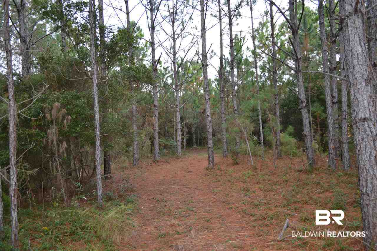 20751 Keller Road Foley, AL 36535 - Photo 36 of 44