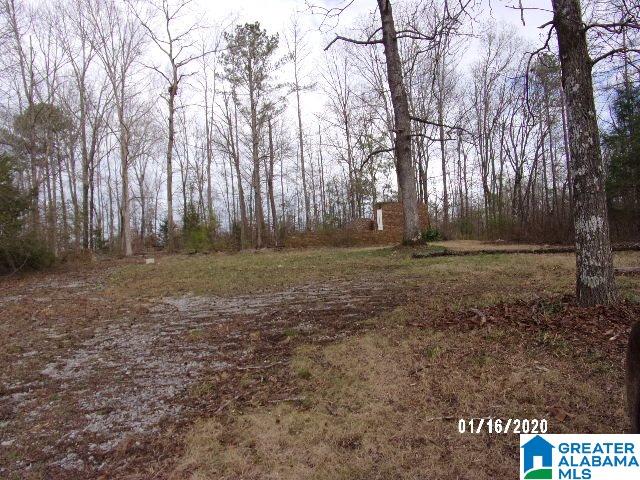 5736 County Road 51 Clanton, AL 35046 - Photo 2 of 7