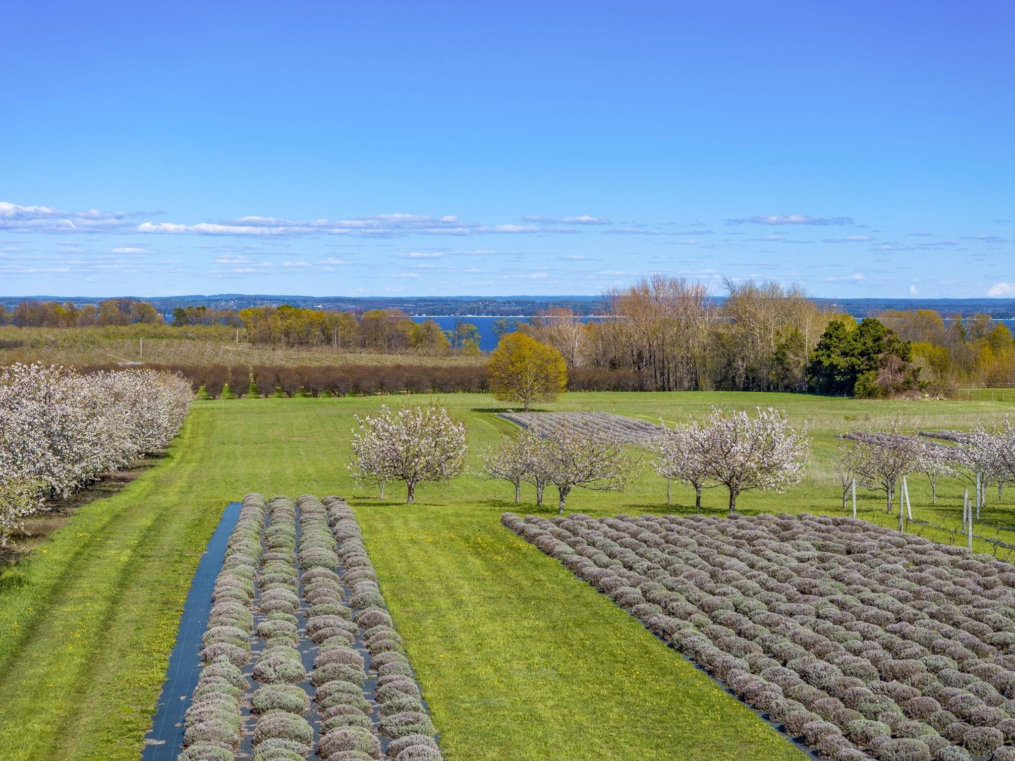 17770 Center Road Traverse City, MI 49686 - Photo 95 of 97