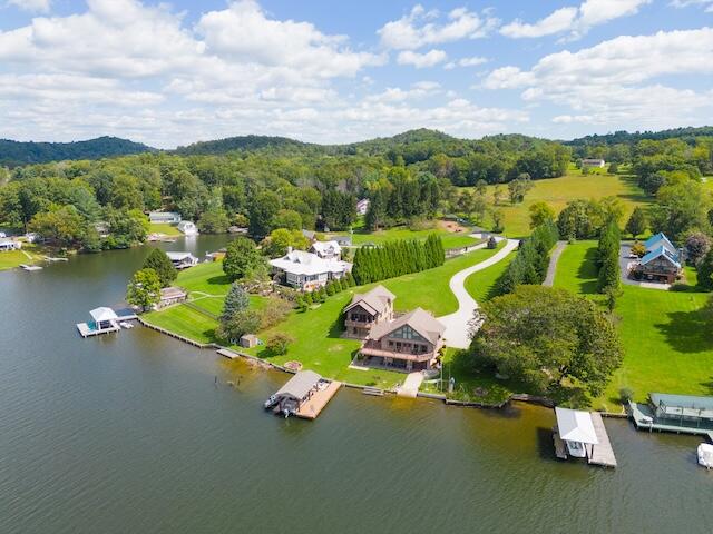 6277 Old Ferry Road Hiwassee, VA 24347 - Photo 102 of 104 hiwassee-102
