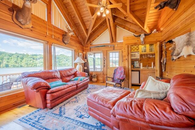6277 Old Ferry Road Hiwassee, VA 24347 - Photo 51 of 104 50