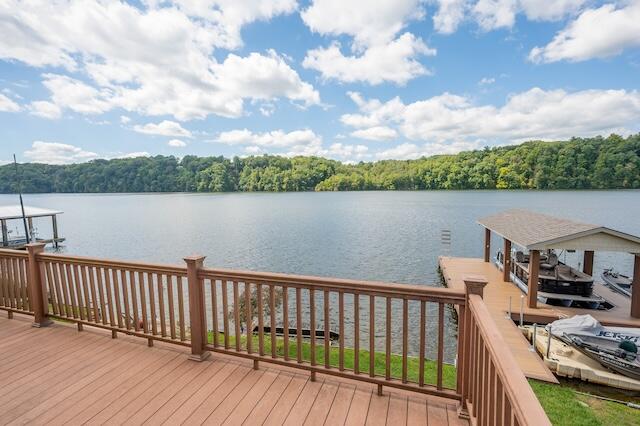 6277 Old Ferry Road Hiwassee, VA 24347 - Photo 93 of 104 hiwassee-84