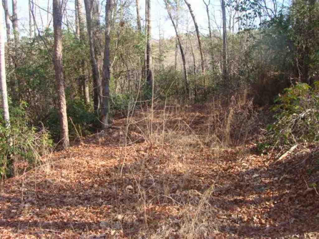 0 Crowe Mountain Road Walhalla, SC 29691 - Photo 3 of 3 Gallery Image 3