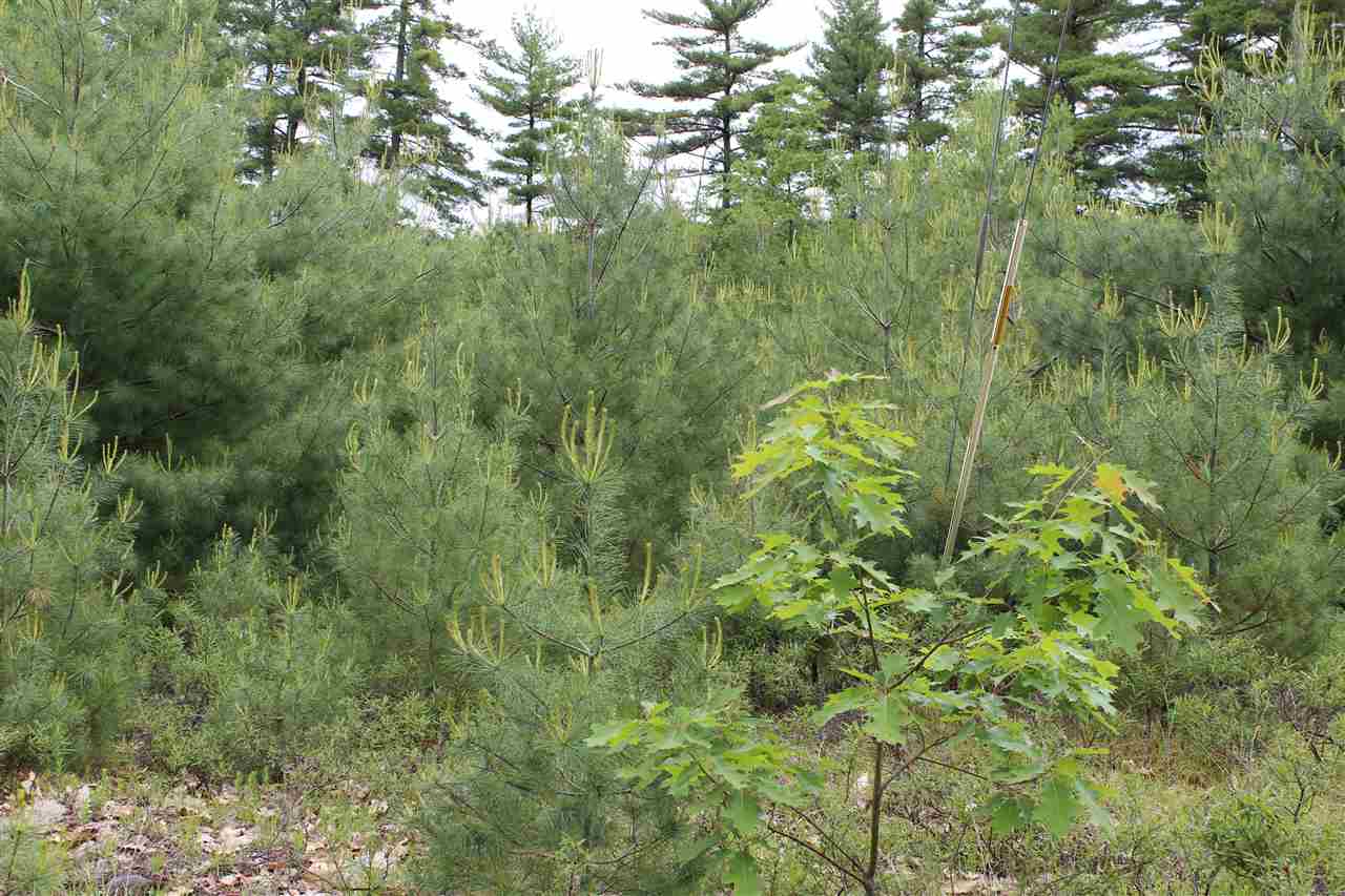 12 Ballards Ridge Road Wakefield, NH 03830 - Photo 5 of 9 Gallery Image 5