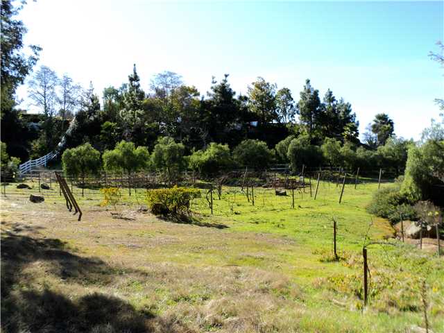 3411 Bumann Road Encinitas, CA 92024 - Photo 5 of 19