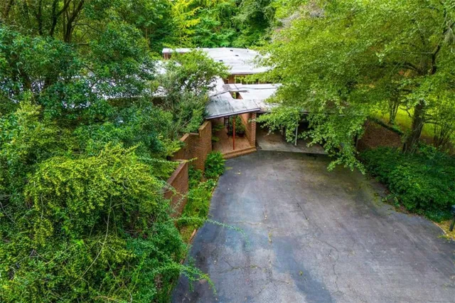 a view of a garden with large trees