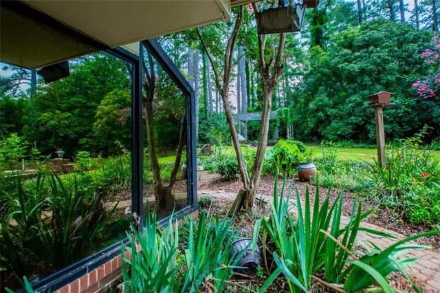 a view of a garden with plants and large trees