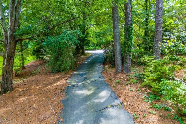 a view of a park with large trees