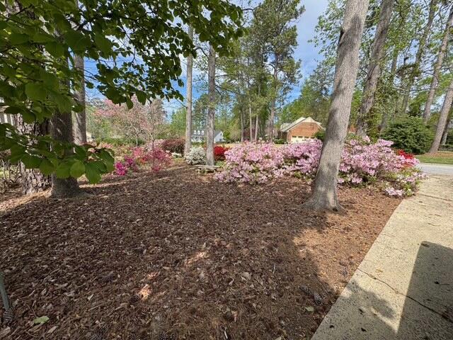 330 Habersham Road Martinez, GA 30907 - Photo 45 of 49 IMG_5670