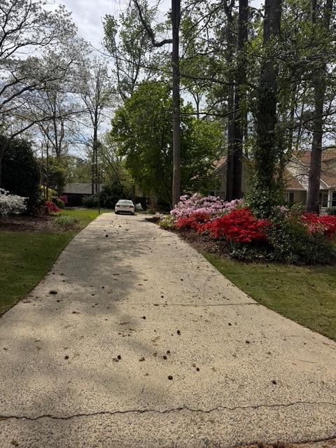 330 Habersham Road Martinez, GA 30907 - Photo 48 of 49 IMG_5673