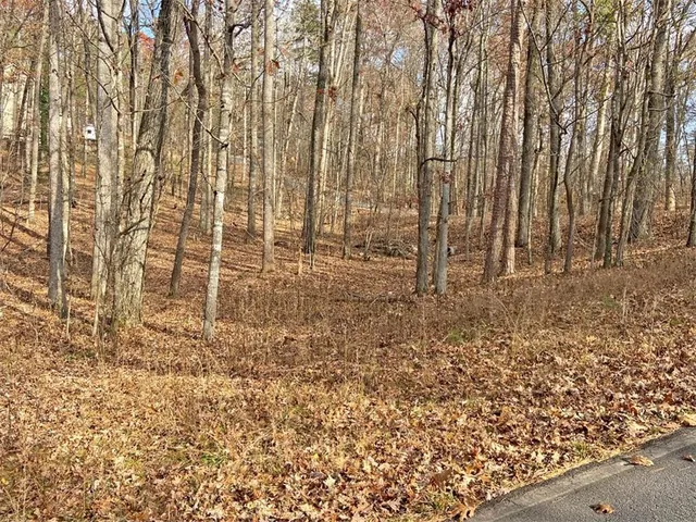 a large room with trees in the background