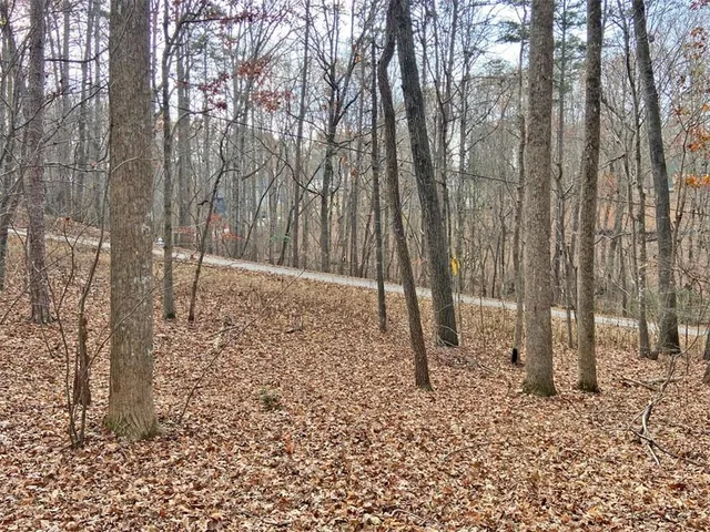 a backyard of a house