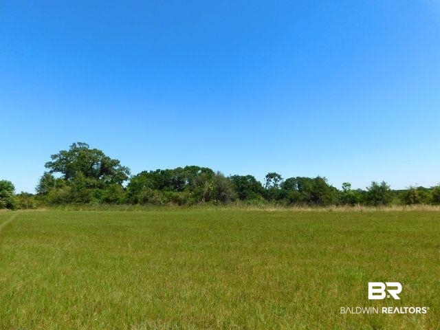 5884 A Saroadine Road Brewton, AL 36426 - Photo 5 of 16