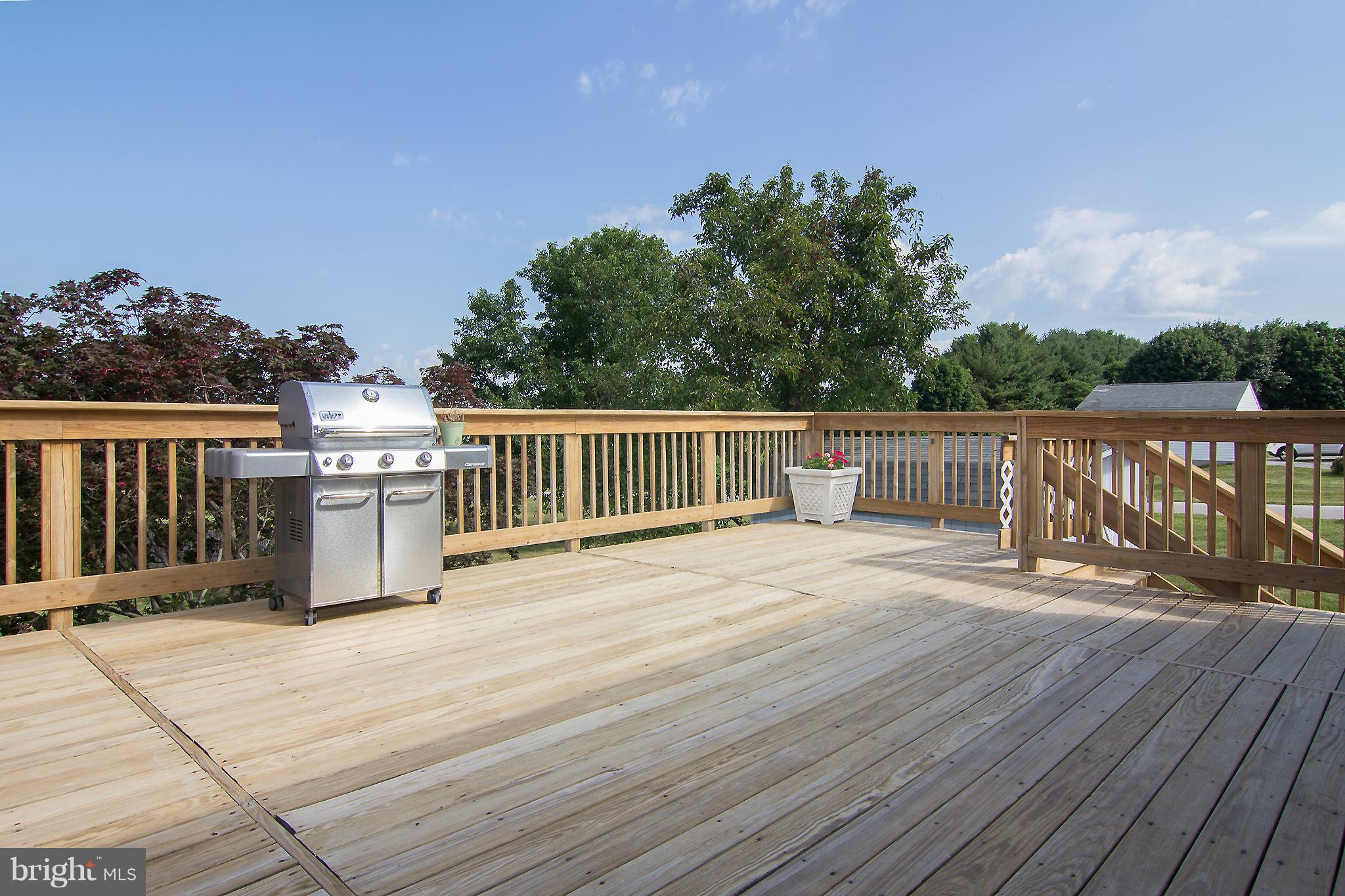 824 Lucabaugh Mill Road Westminster, MD 21157 - Photo 11 of 30 Cookouts will never be the same