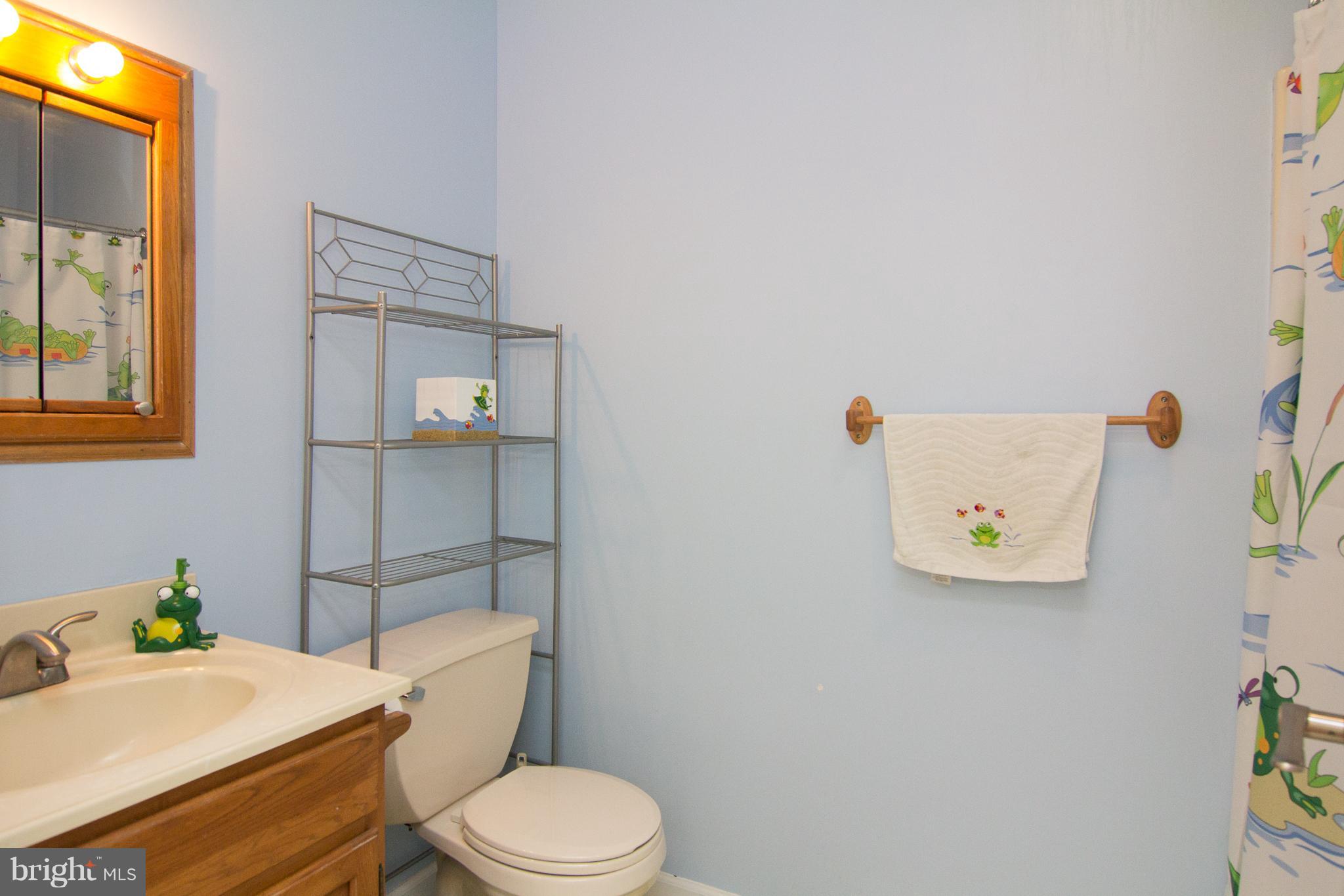 824 Lucabaugh Mill Road Westminster, MD 21157 - Photo 16 of 30 Hall bath