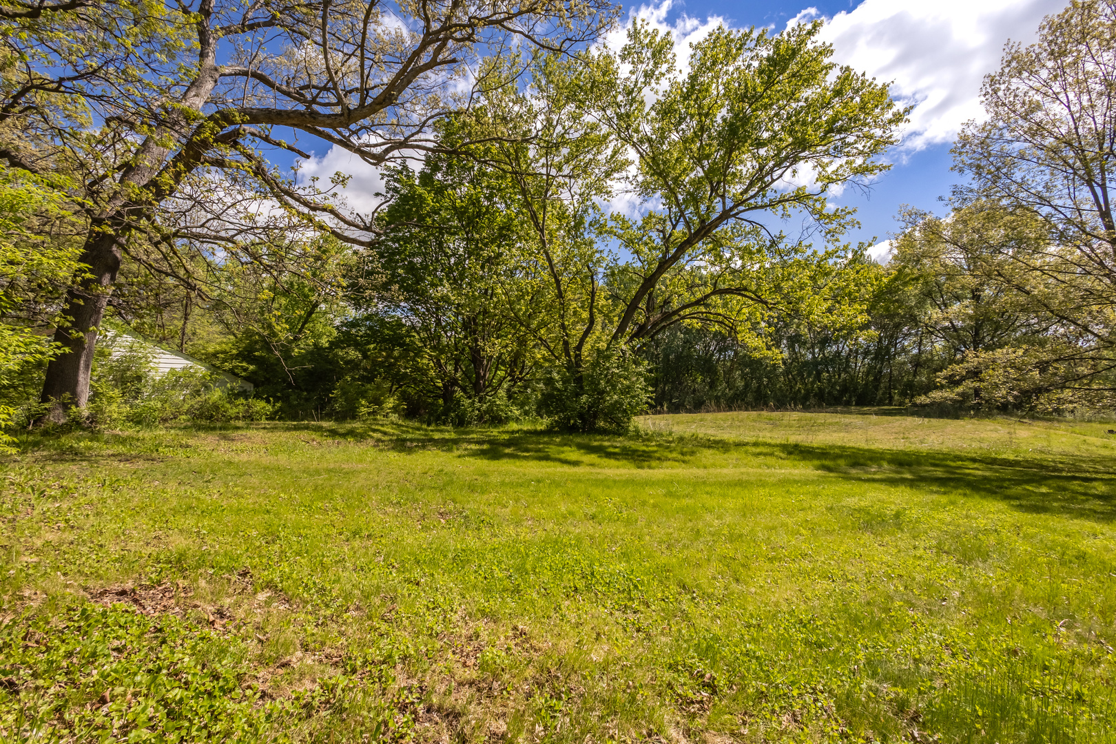 4317 Willowbrook Road Long Grove, IL 60047 - Photo 6 of 10 a view of beach and swimming pool