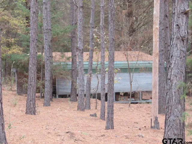 a backyard of a house with a tree
